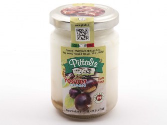 yogurt-cremoso-castagna