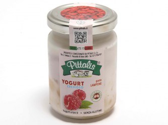 yogurt-cremoso-lampone
